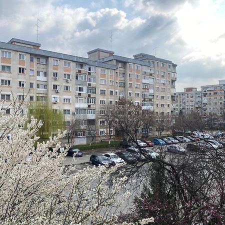 Virginia'S Studio Piteşti Kültér fotó