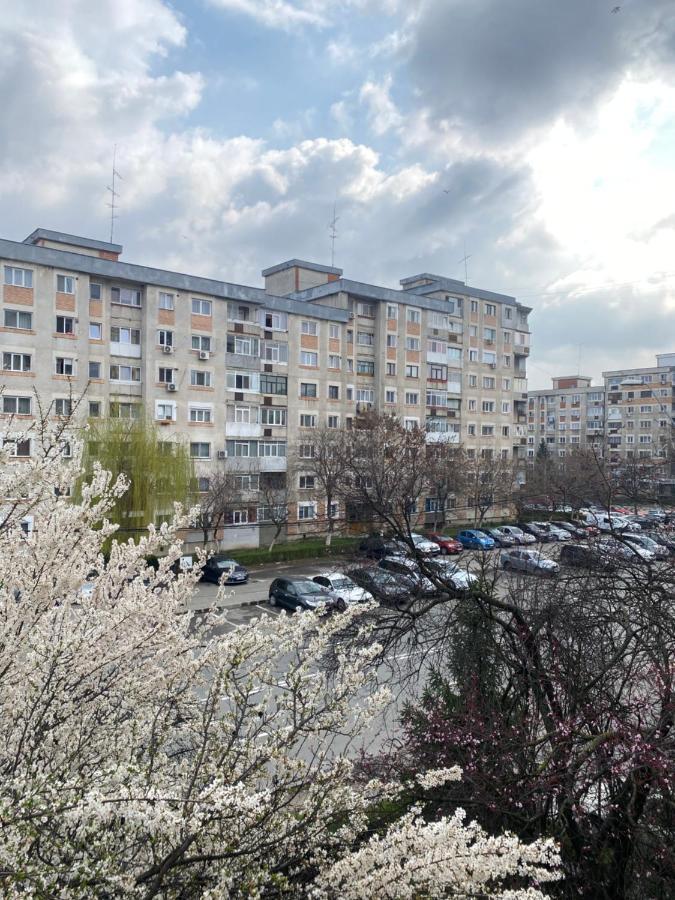 Virginia'S Studio Piteşti Kültér fotó